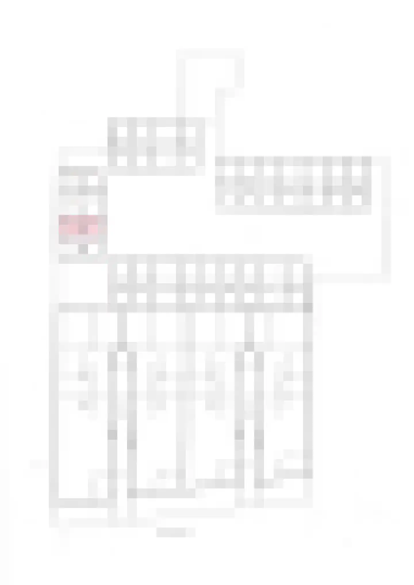 Pieter de Hooghstraat 18 Delft thumbnail 10