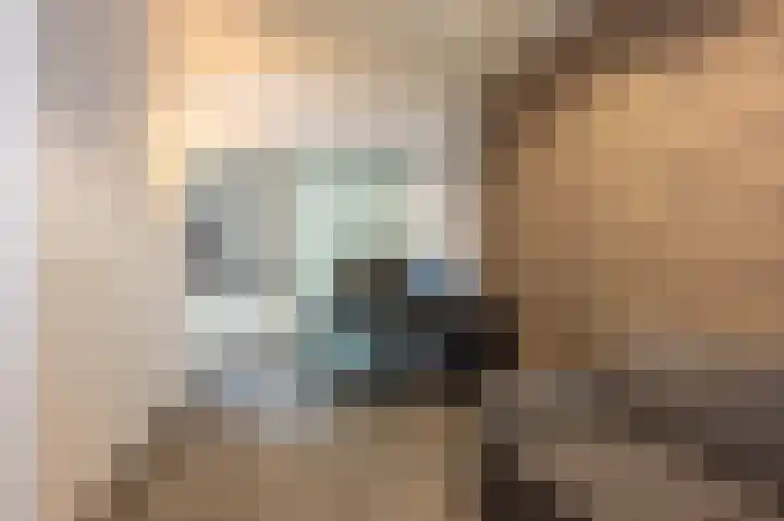 Pieter de Hooghstraat 18 Kerkrade thumbnail 11