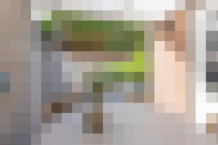 Pieter de Hooghstraat 18 Kerkrade thumbnail 21