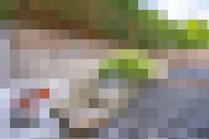 Pieter de Hooghstraat 18 Kerkrade thumbnail 22