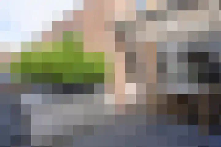 Pieter de Hooghstraat 18 Kerkrade thumbnail 23
