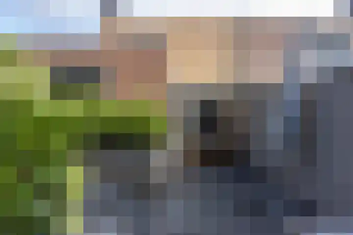Pieter de Hooghstraat 18 Kerkrade thumbnail 24