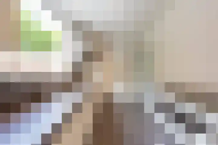 Pieter de Hooghstraat 18 Kerkrade thumbnail 8