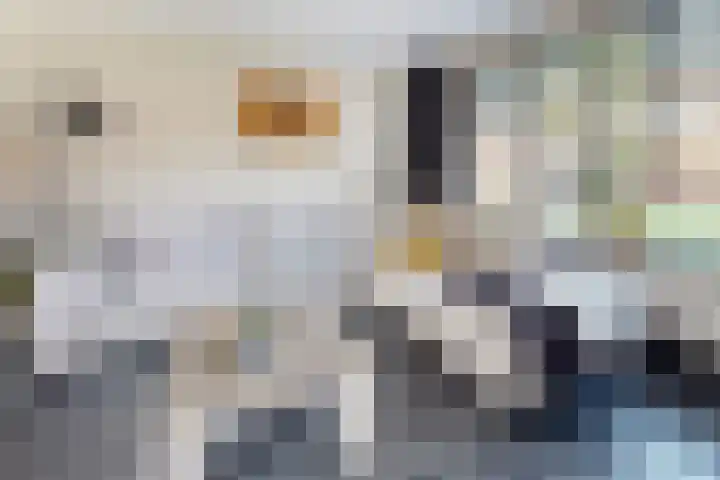Pieter de Hooghstraat 19 Fijnaart thumbnail 10