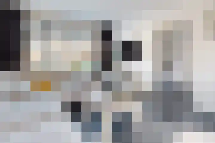 Pieter de Hooghstraat 19 Fijnaart thumbnail 12