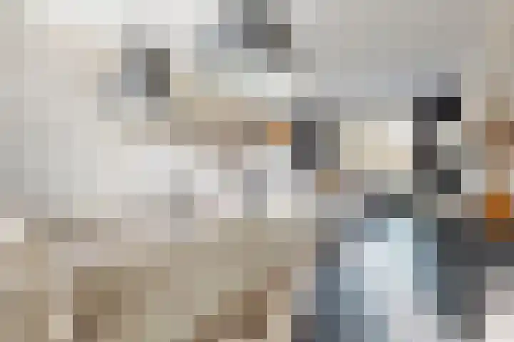 Pieter de Hooghstraat 19 Fijnaart thumbnail 14