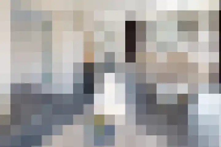 Pieter de Hooghstraat 19 Fijnaart thumbnail 15