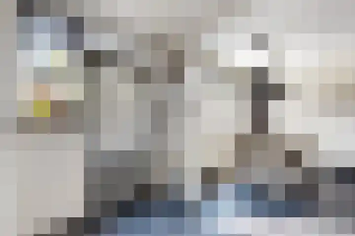 Pieter de Hooghstraat 19 Fijnaart thumbnail 17