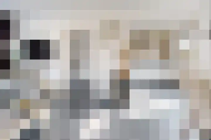 Pieter de Hooghstraat 19 Fijnaart thumbnail 18