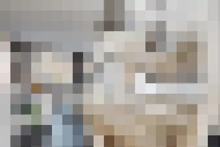 Pieter de Hooghstraat 19 Fijnaart thumbnail 19