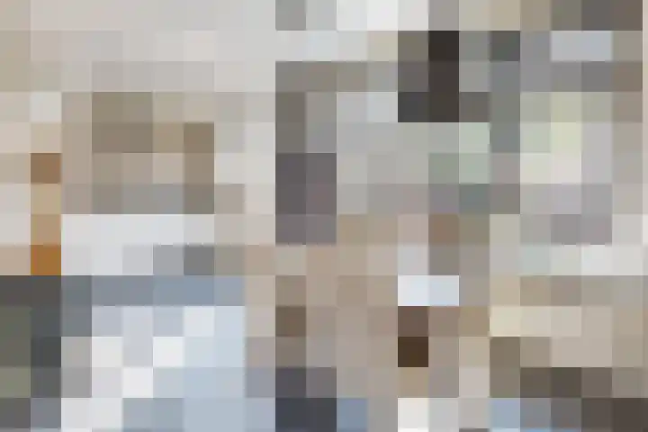 Pieter de Hooghstraat 19 Fijnaart thumbnail 20