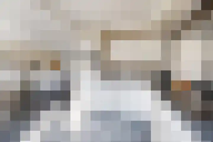 Pieter de Hooghstraat 19 Fijnaart thumbnail 21