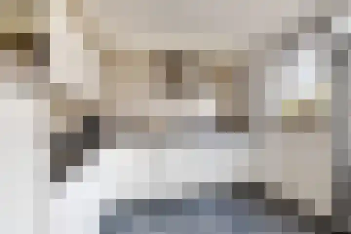 Pieter de Hooghstraat 19 Fijnaart thumbnail 22
