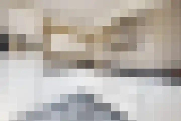 Pieter de Hooghstraat 19 Fijnaart thumbnail 23