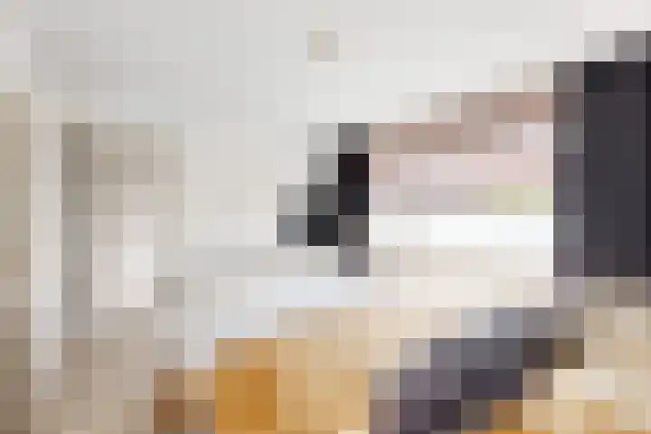 Pieter de Hooghstraat 19 Fijnaart thumbnail 28