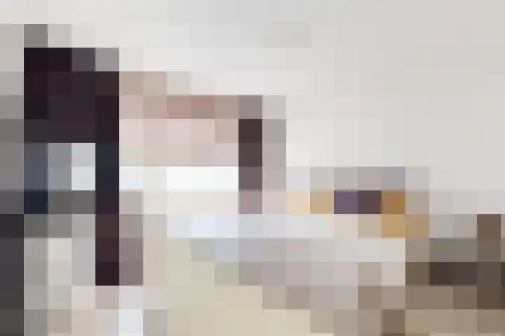 Pieter de Hooghstraat 19 Fijnaart thumbnail 29