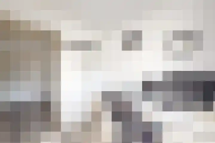 Pieter de Hooghstraat 19 Fijnaart thumbnail 31