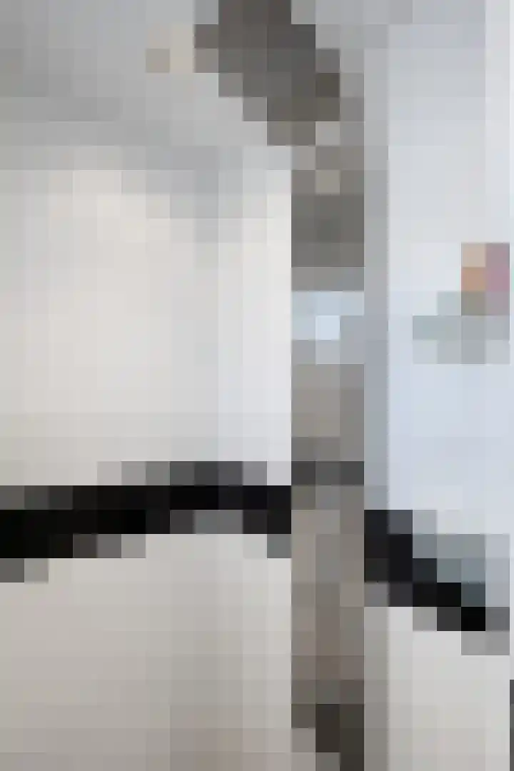 Pieter de Hooghstraat 19 Fijnaart thumbnail 35