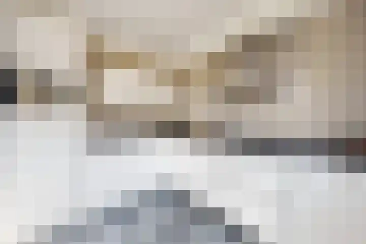 Pieter de Hooghstraat 19 Fijnaart thumbnail 4