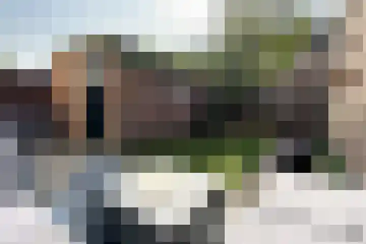 Pieter de Hooghstraat 19 Fijnaart thumbnail 40