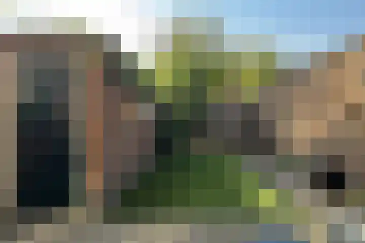 Pieter de Hooghstraat 19 Fijnaart thumbnail 42