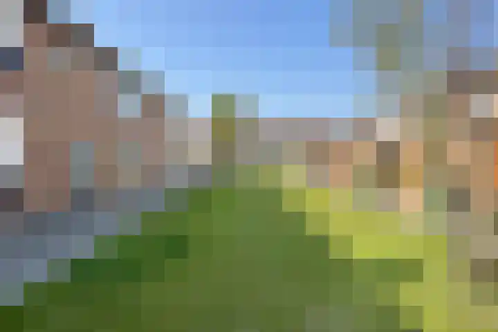Pieter de Hooghstraat 19 Fijnaart thumbnail 43