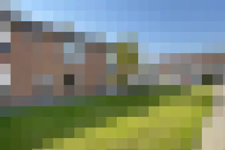 Pieter de Hooghstraat 19 Fijnaart thumbnail 44
