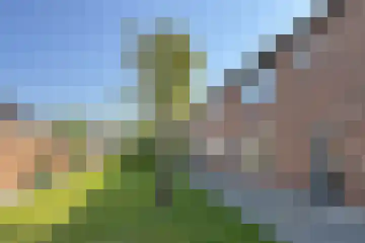 Pieter de Hooghstraat 19 Fijnaart thumbnail 45