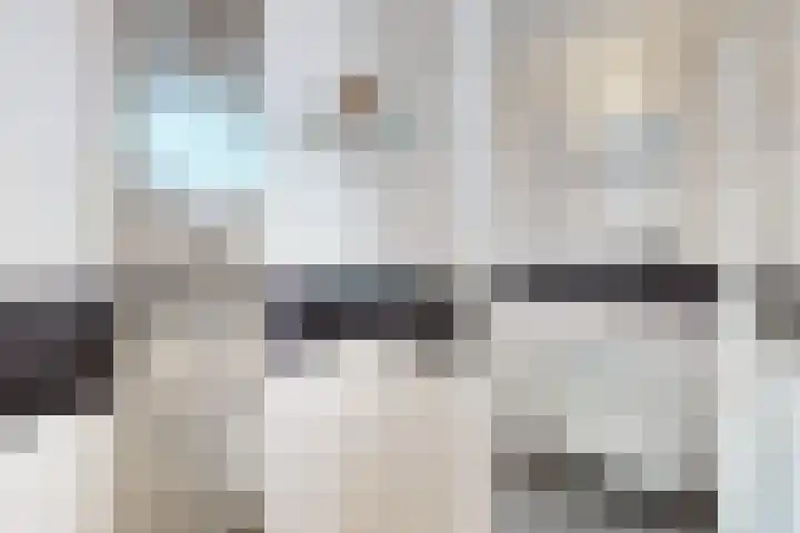 Pieter de Hooghstraat 19 Fijnaart thumbnail 5