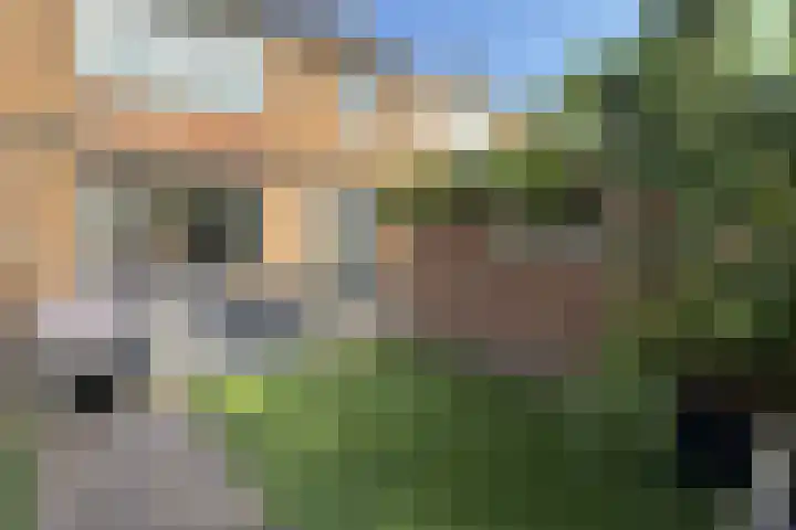 Pieter de Hooghstraat 19 Fijnaart thumbnail 6
