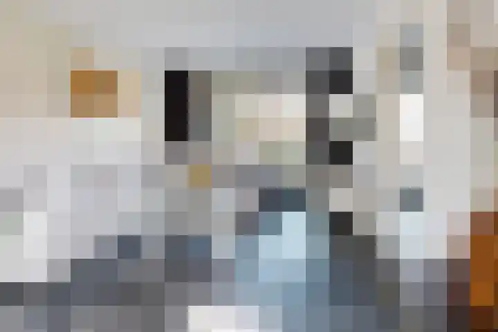 Pieter de Hooghstraat 19 Fijnaart thumbnail 9