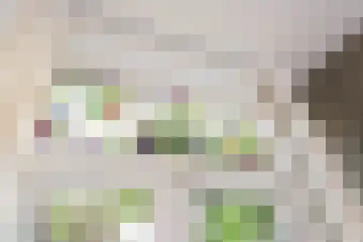 Pieter de Hooghstraat 2 Utrecht thumbnail 11