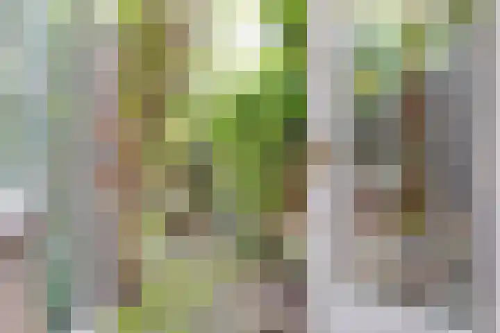 Pieter de Hooghstraat 2 Utrecht thumbnail 14