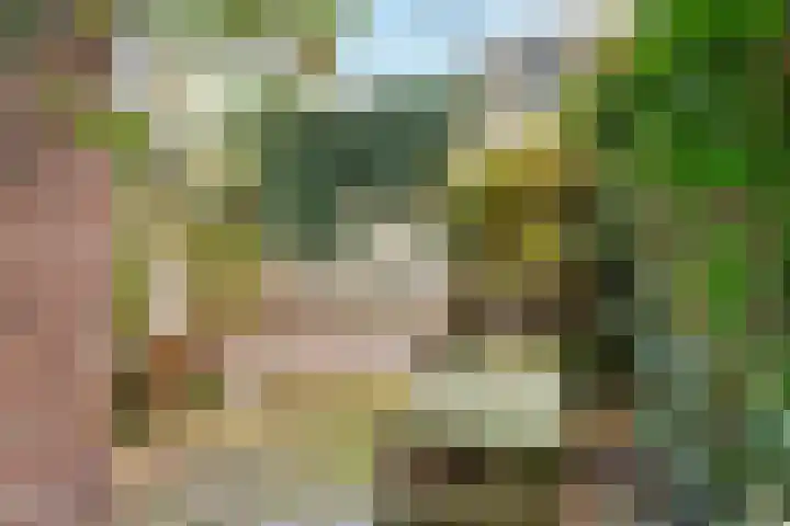 Pieter de Hooghstraat 2 Utrecht thumbnail 15