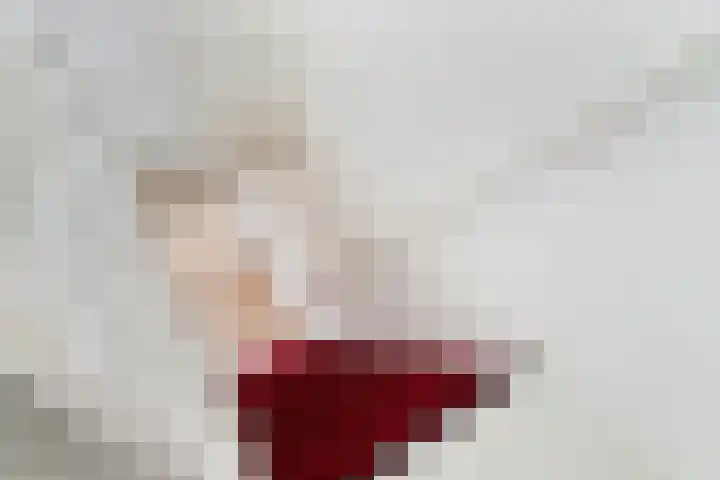 Pieter de Hooghstraat 2 Utrecht thumbnail 17