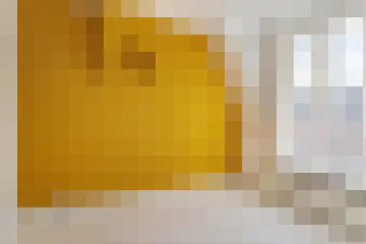 Pieter de Hooghstraat 2 Utrecht thumbnail 22
