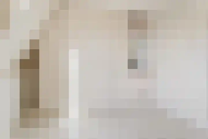 Pieter de Hooghstraat 2 Utrecht thumbnail 23