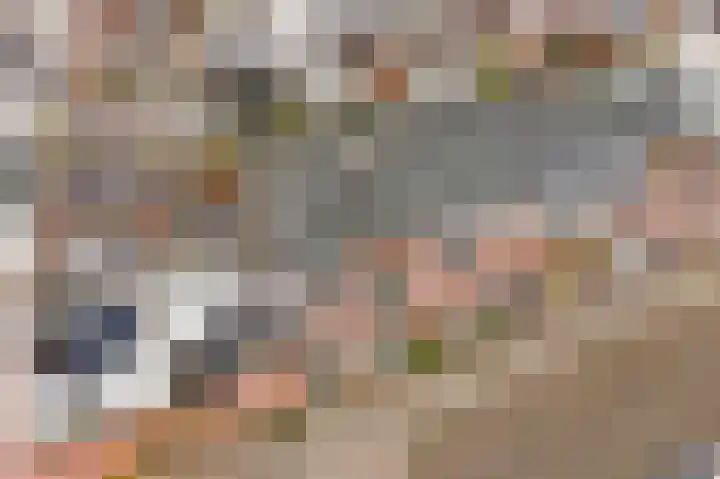 Pieter de Hooghstraat 2 Utrecht thumbnail 27