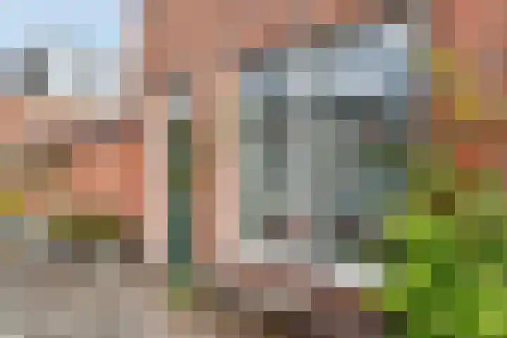 Pieter de Hooghstraat 2 Utrecht thumbnail 5