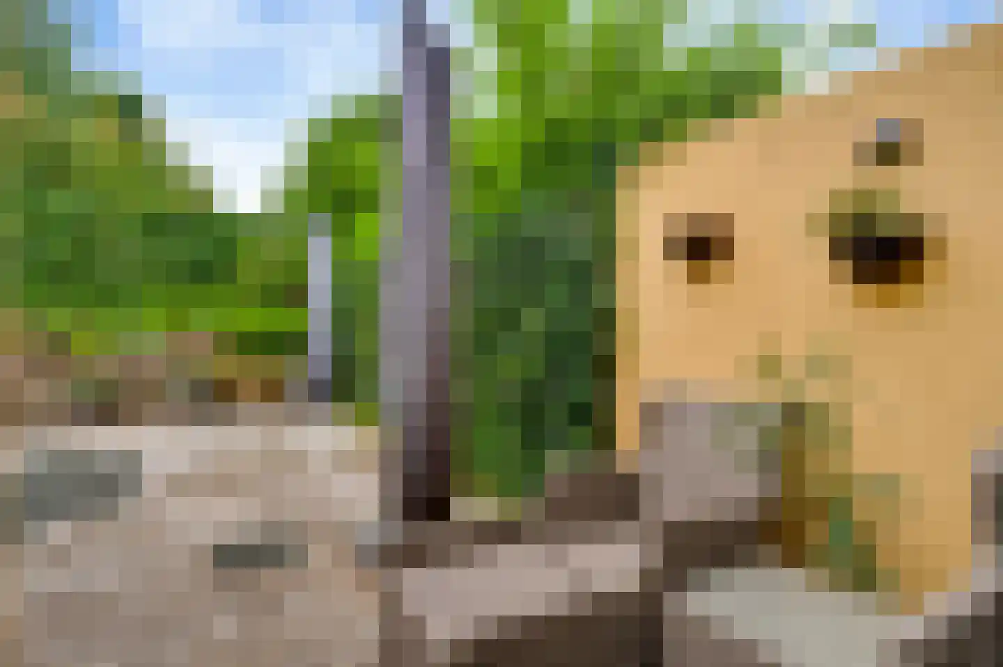 Pieter de Hooghstraat 21 Kerkrade thumbnail 11
