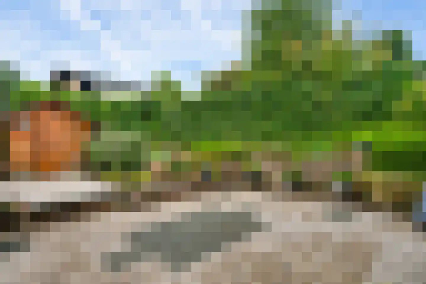Pieter de Hooghstraat 21 Kerkrade thumbnail 12