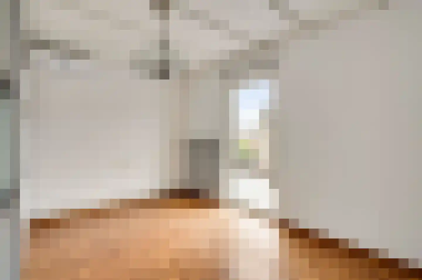 Pieter de Hooghstraat 21 Kerkrade thumbnail 19