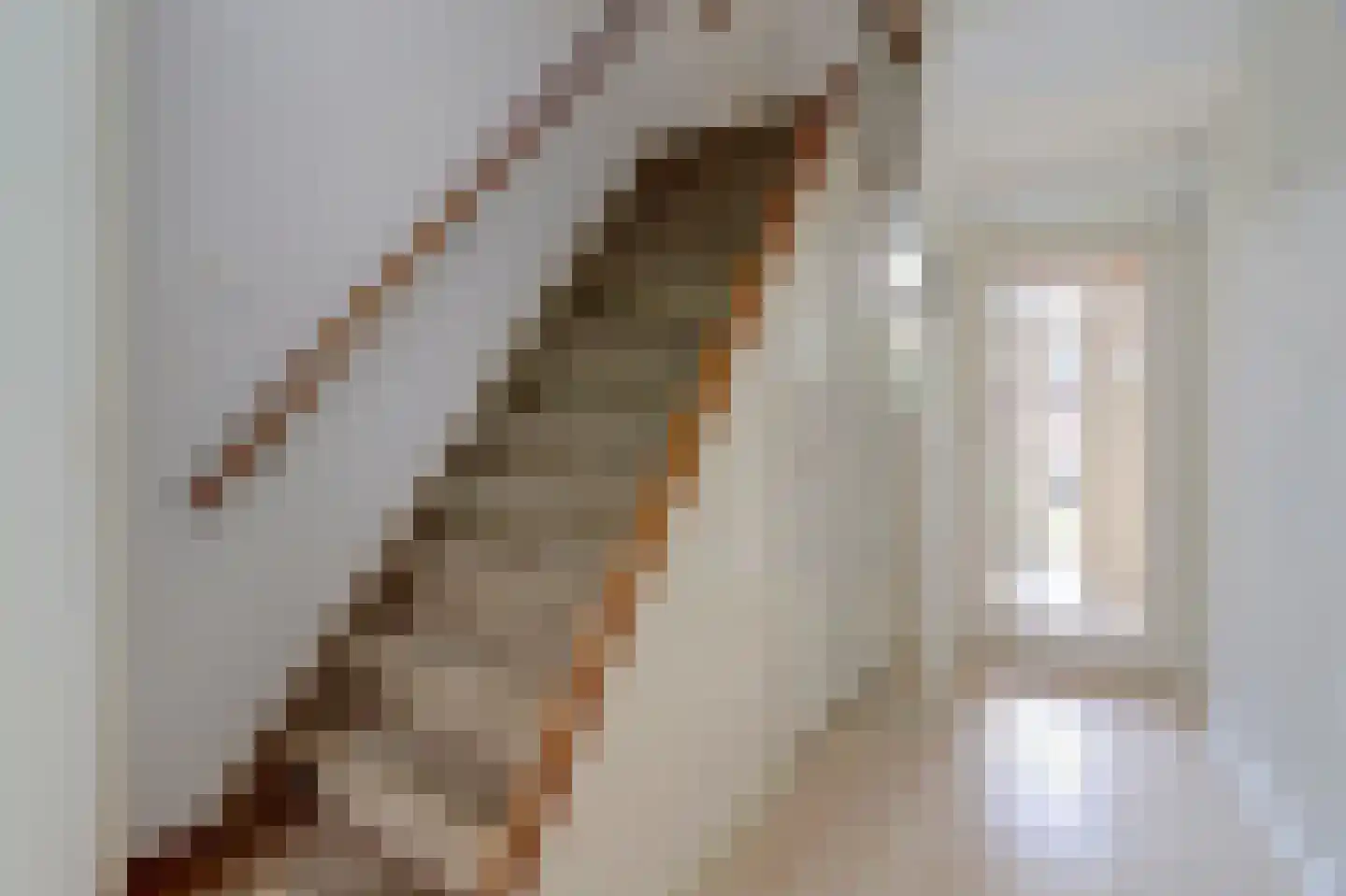 Pieter de Hooghstraat 22 Papendrecht thumbnail 10