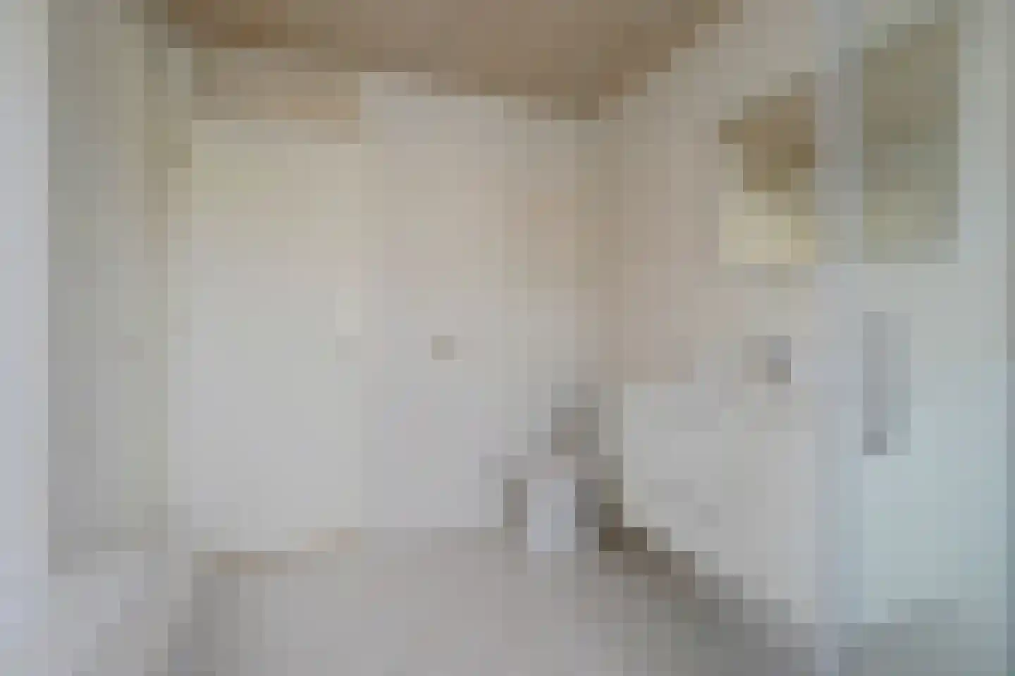Pieter de Hooghstraat 22 Papendrecht thumbnail 22