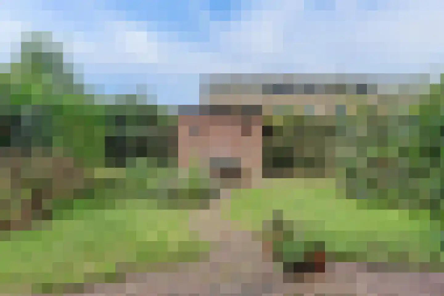 Pieter de Hooghstraat 22 Papendrecht thumbnail 31
