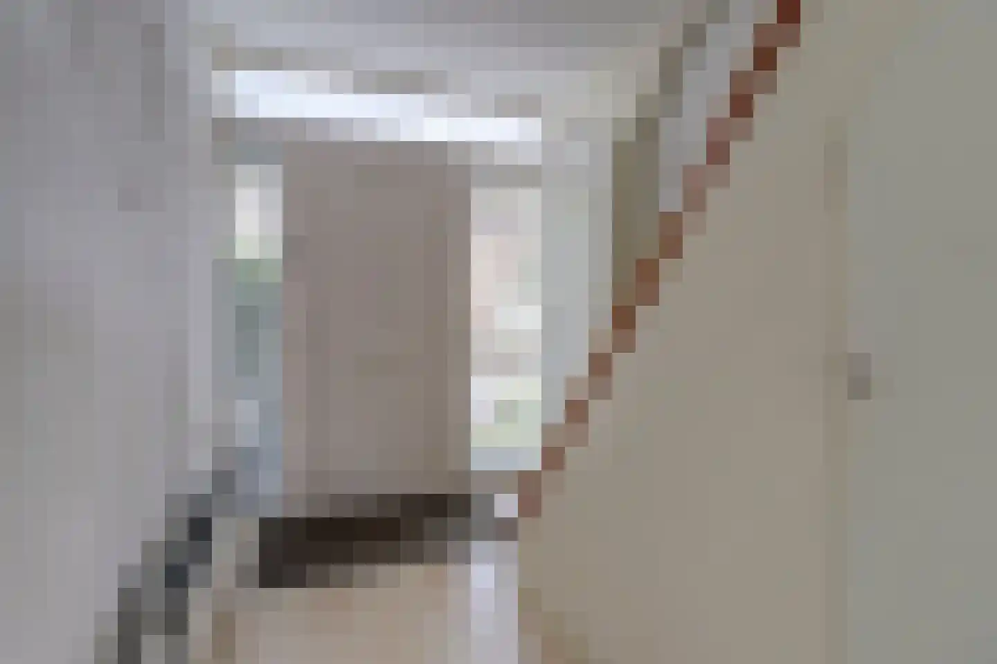 Pieter de Hooghstraat 22 Papendrecht thumbnail 8