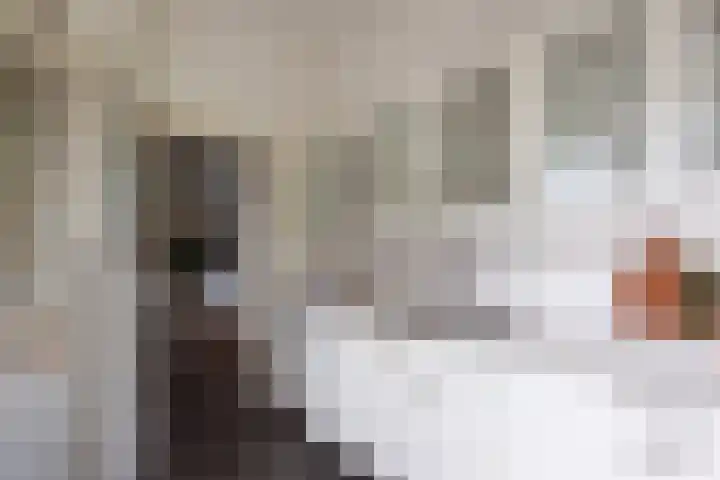 Pieter de Hooghstraat 24 Heemstede thumbnail 17