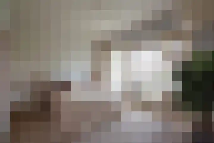 Pieter de Hooghstraat 24 Heemstede thumbnail 20