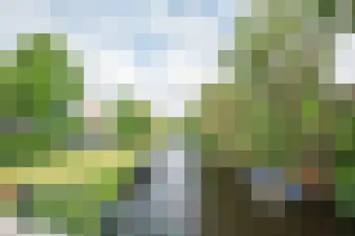 Pieter de Hooghstraat 24 Heemstede thumbnail 54