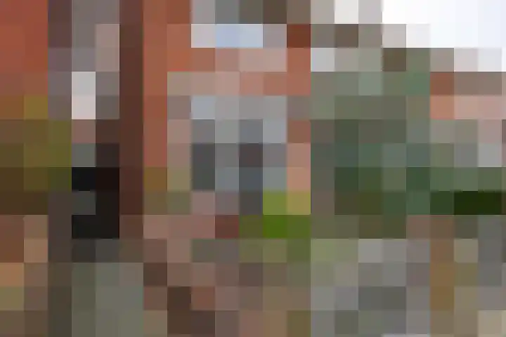 Pieter de Hooghstraat 24 Leeuwarden thumbnail 7